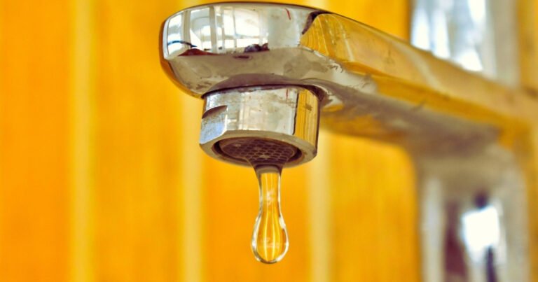 Common Household Plumbing Issues